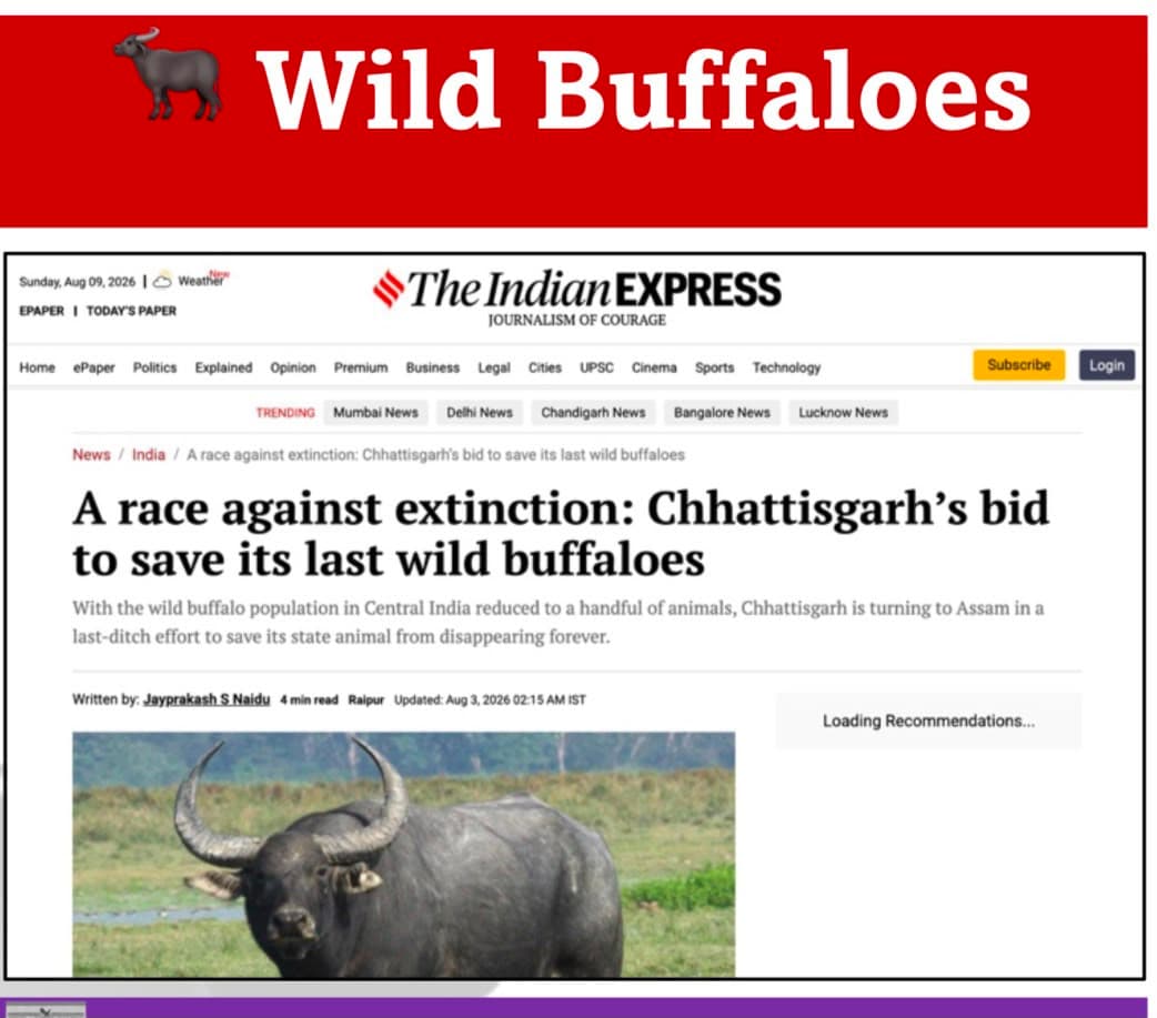 Daily current affairs — 10 August 2026 — image 5 of 14